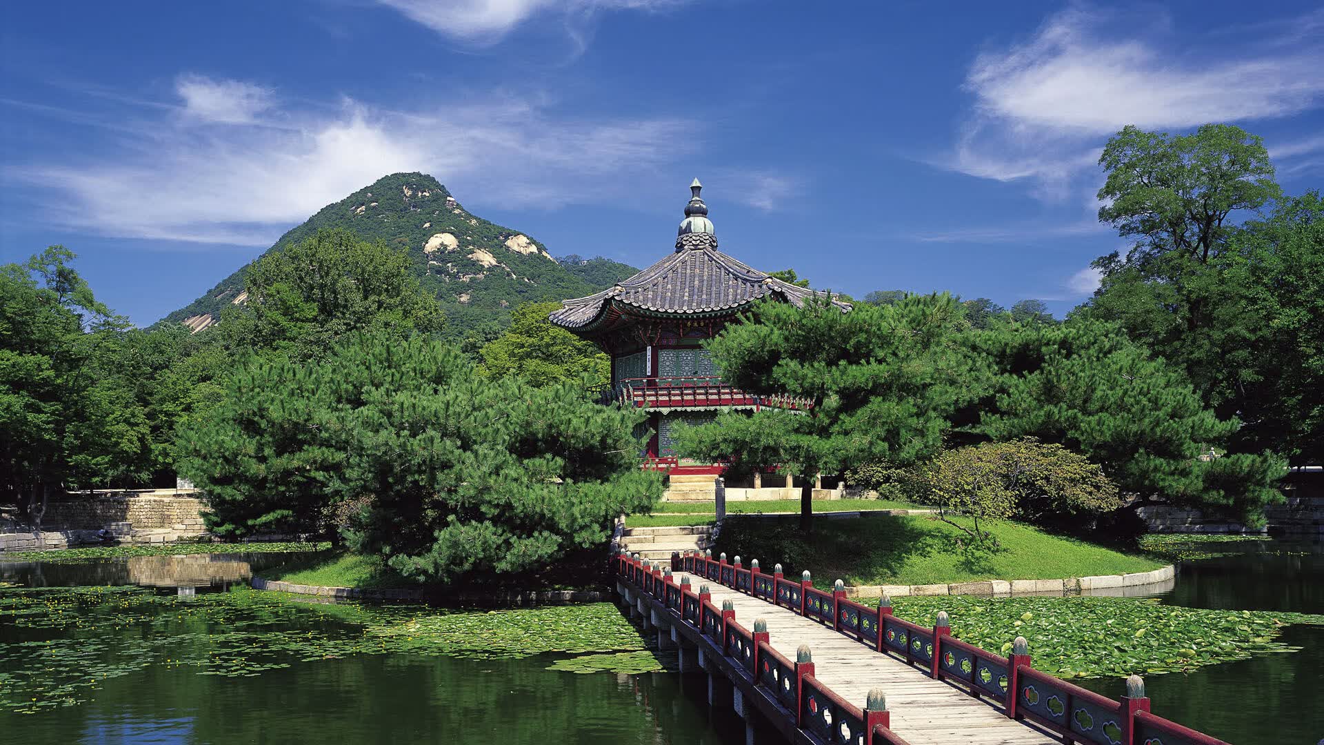 世界短道速滑教练能力认证第三十五期考试安排，世界短道速滑比赛